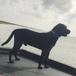 Meet your Posher, Kyleigh